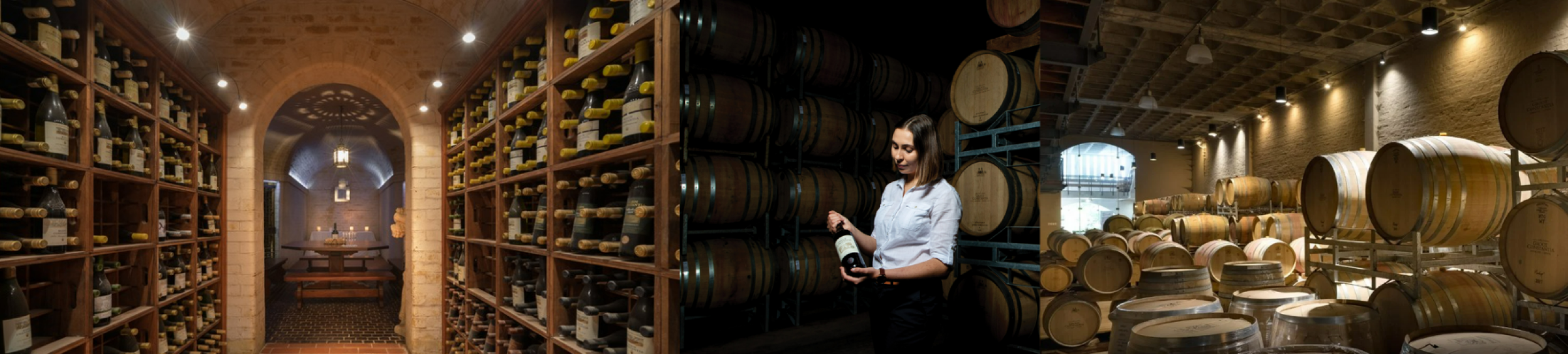 AWARD WINNING WINE TOUR: MANOR TOUR & CELLAR TOUR INCLUDED