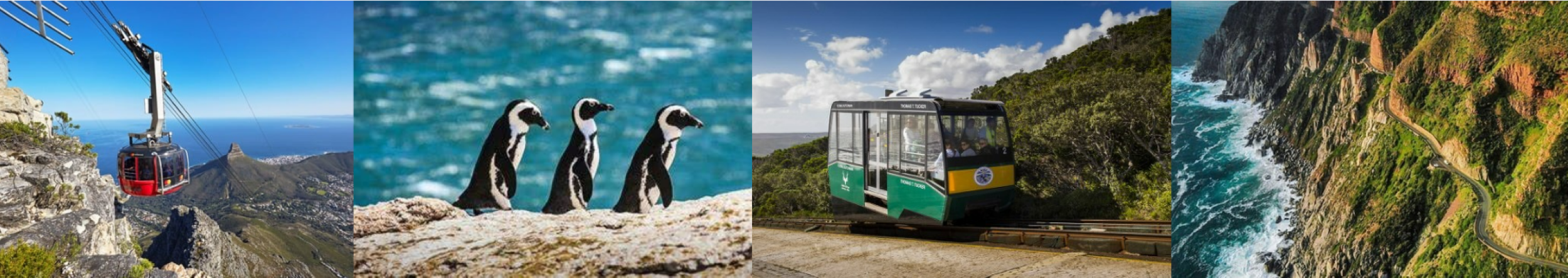 CAPE OF GOOD HOPE, PENGUIN & SEAL ISLAND TOUR