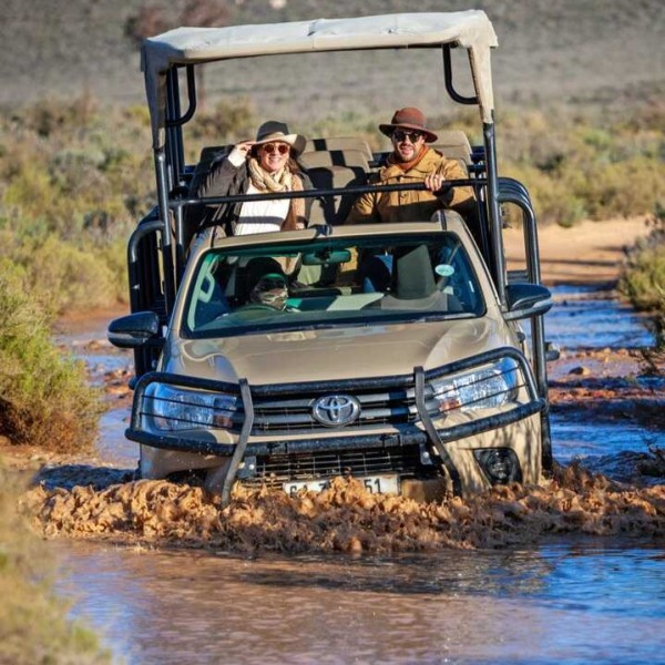 The Bothongo Rhino & Lion Safari Tour